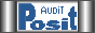 audit positionnement site